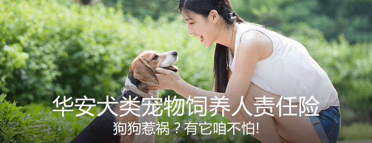 华安犬类宠物饲养人责任保险